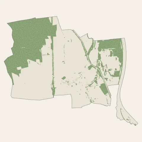 Biesheim : bois, forêts et landes