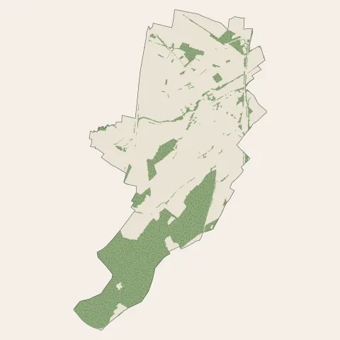 Bollwiller : bois, forêts et landes
