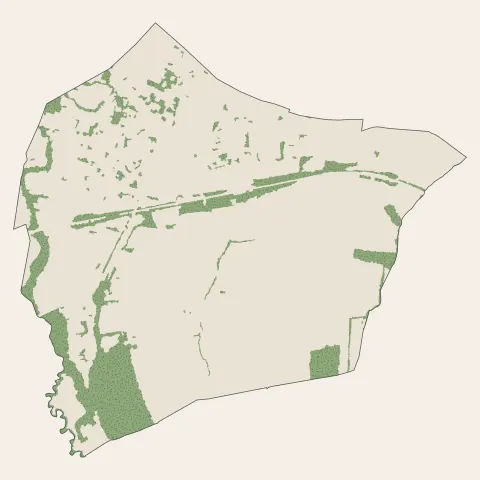 Dannemarie : bois, forêts et landes