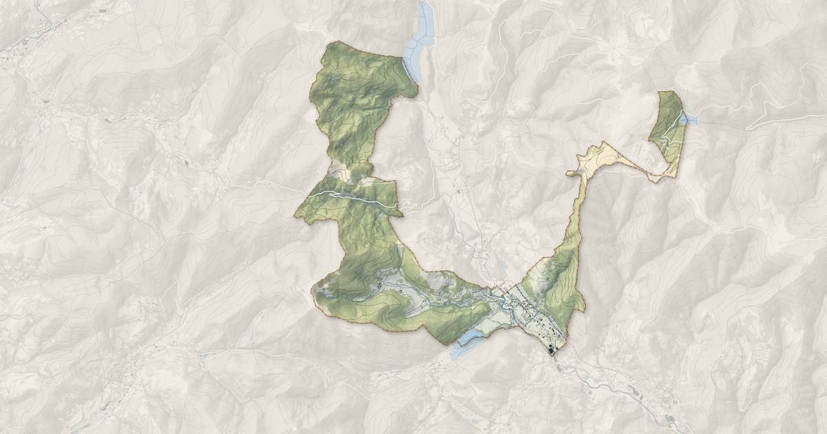 Portrait cartographique de Fellering : relief, eau, forêts, bâti et voies, calculés à partir des données de l'IGN