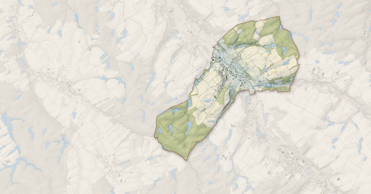 Portrait cartographique de Friesen : relief, eau, forêts, bâti et voies, calculés à partir des données de l'IGN