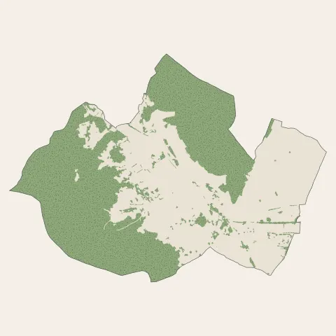 Guebwiller : bois, forêts et landes