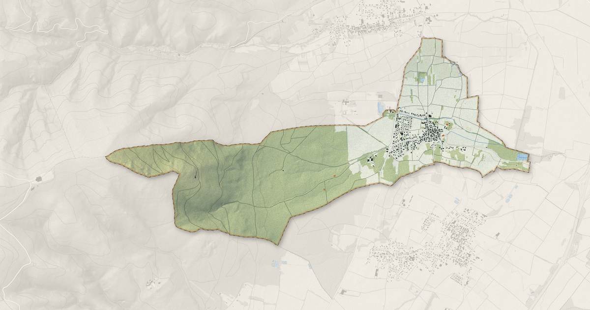 Portrait cartographique de Hartmannswiller : relief, eau, forêts, bâti et voies, calculés à partir des données de l'IGN