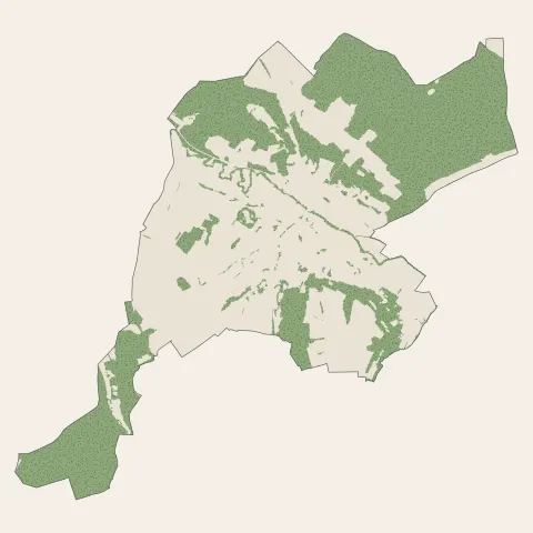 Hirsingue : bois, forêts et landes