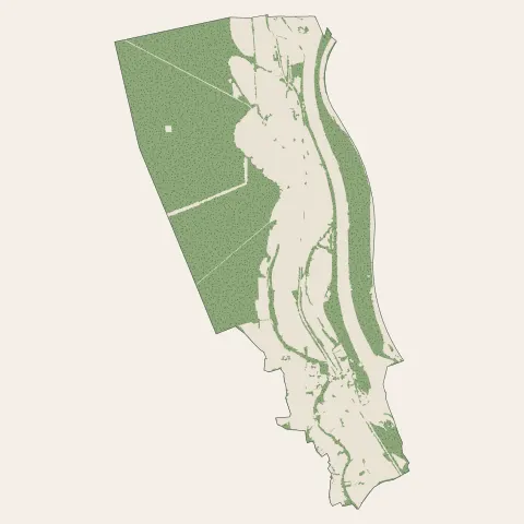 Kembs : bois, forêts et landes