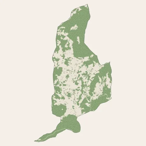 Labaroche : bois, forêts et landes