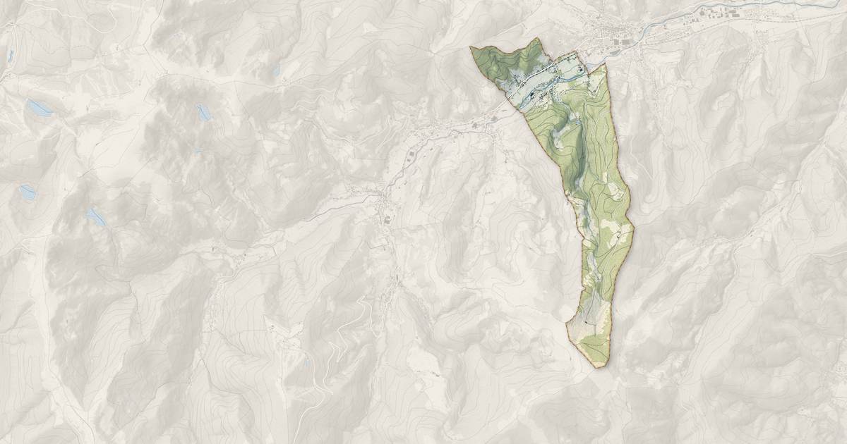 Portrait cartographique de Luttenbach-près-Munster : relief, eau, forêts, bâti et voies, calculés à partir des données de l'IGN