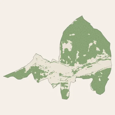 Munster : bois, forêts et landes