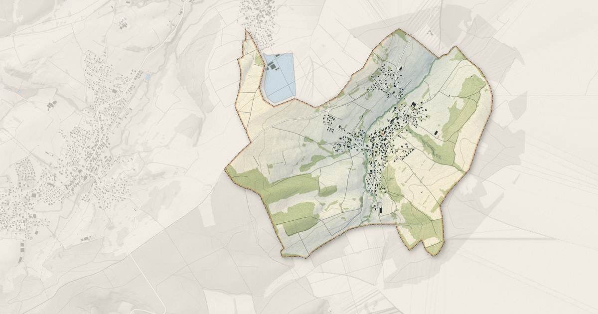 Portrait cartographique de Neuwiller : relief, eau, forêts, bâti et voies, calculés à partir des données de l'IGN