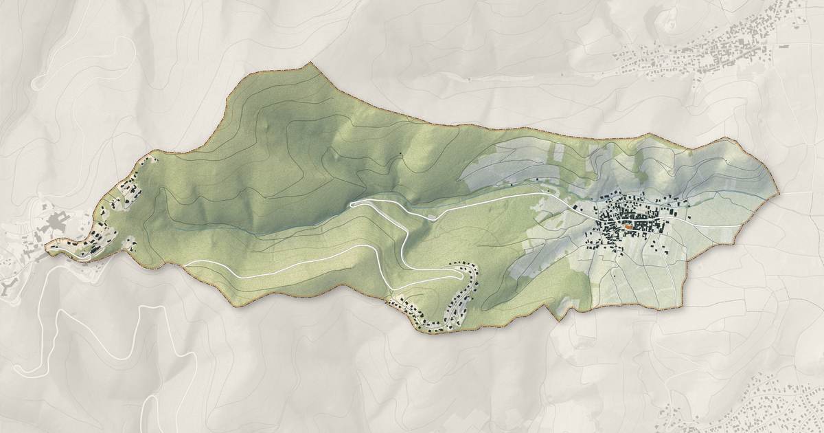 Portrait cartographique de Niedermorschwihr : relief, eau, forêts, bâti et voies, calculés à partir des données de l'IGN