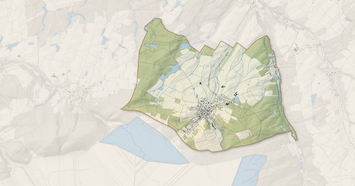 Portrait cartographique de Pfetterhouse : relief, eau, forêts, bâti et voies, calculés à partir des données de l'IGN