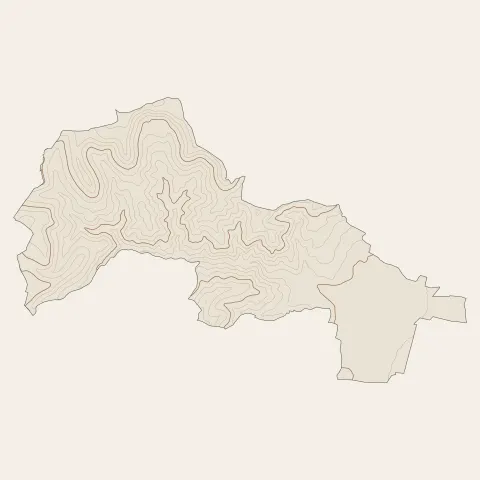 Ribeauvillé : courbes de niveau