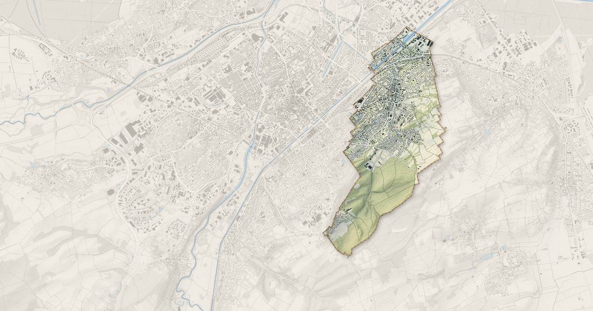 Portrait cartographique de Riedisheim : relief, eau, forêts, bâti et voies, calculés à partir des données de l'IGN