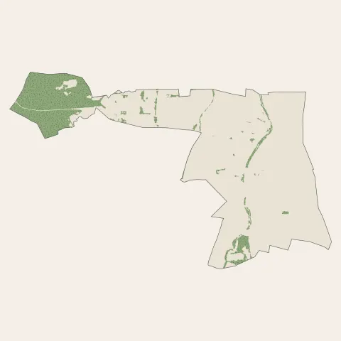 Ruelisheim : bois, forêts et landes