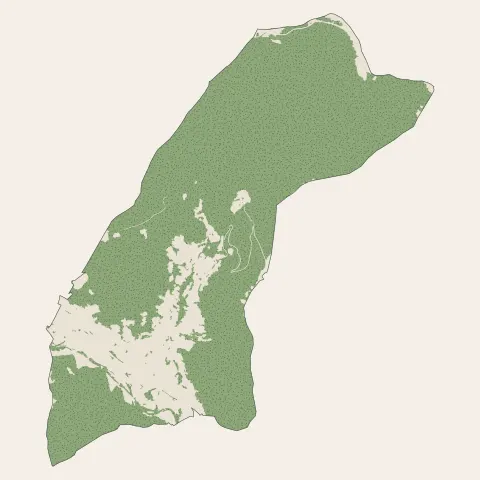 Saint-Amarin : bois, forêts et landes