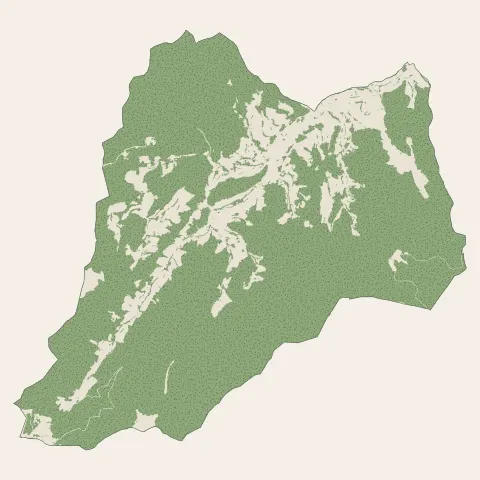 Sainte-Marie-aux-Mines : bois, forêts et landes