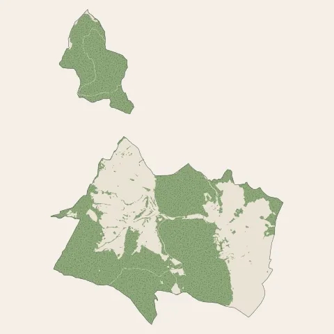 Soultzmatt : bois, forêts et landes