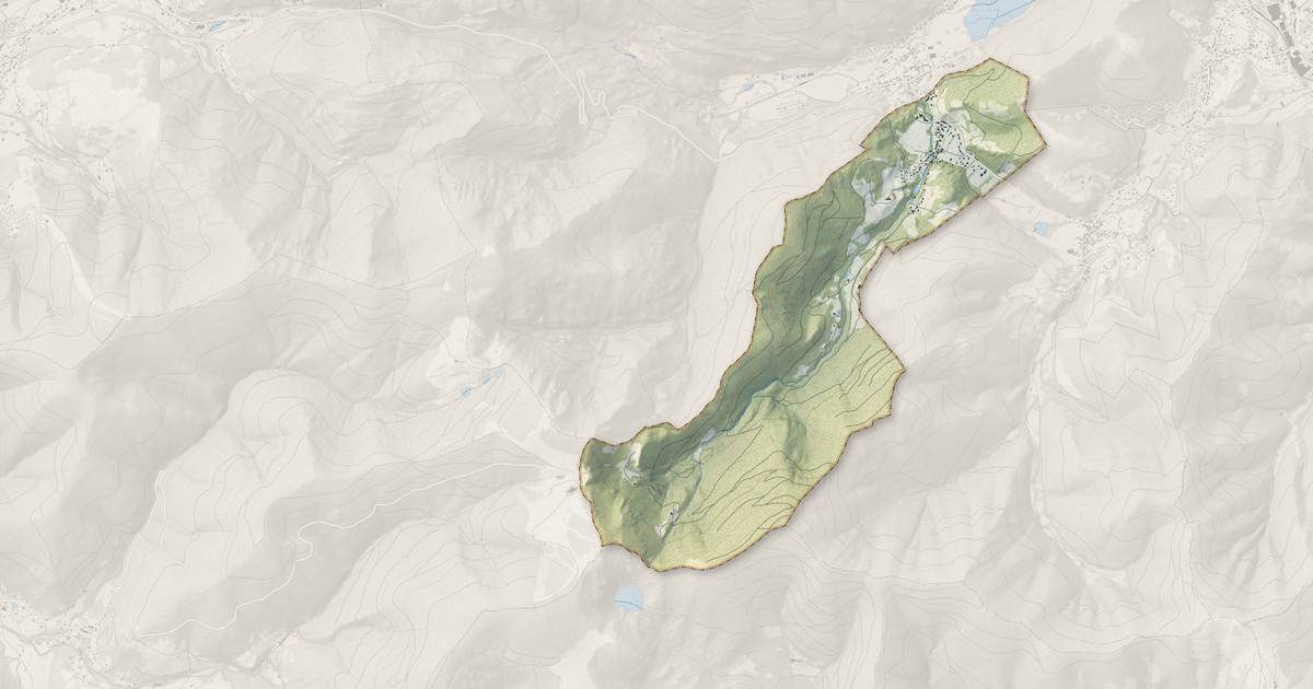 Portrait cartographique de Storckensohn : relief, eau, forêts, bâti et voies, calculés à partir des données de l'IGN