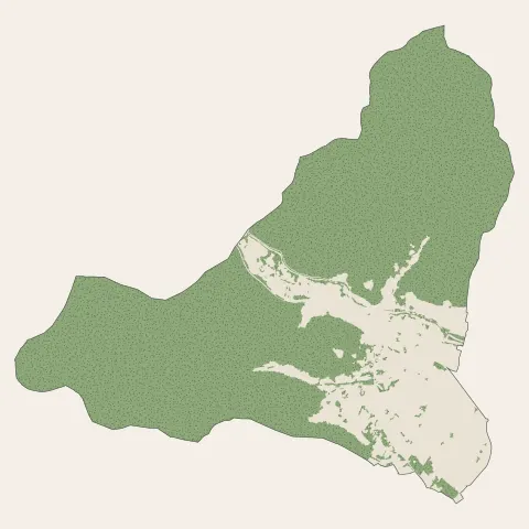 Thann : bois, forêts et landes