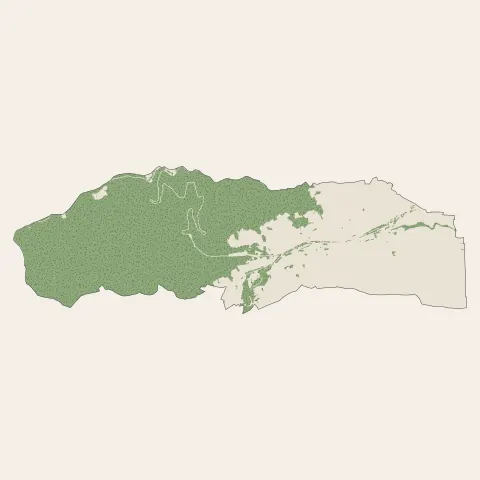 Turckheim : bois, forêts et landes