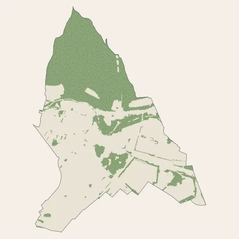 Vieux-Thann : bois, forêts et landes