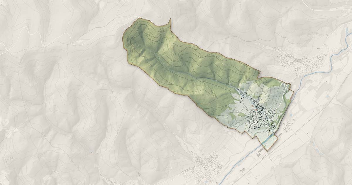 Portrait cartographique de Walbach : relief, eau, forêts, bâti et voies, calculés à partir des données de l'IGN
