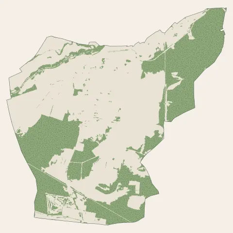 Wittelsheim : bois, forêts et landes