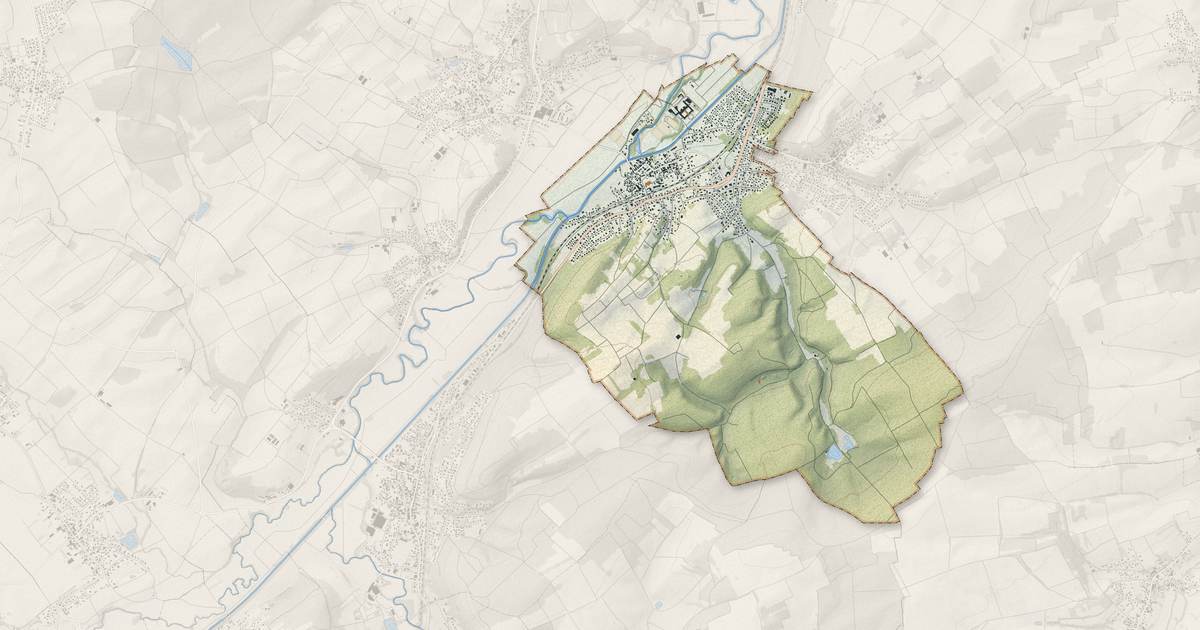 Portrait cartographique de Zillisheim : relief, eau, forêts, bâti et voies, calculés à partir des données de l'IGN