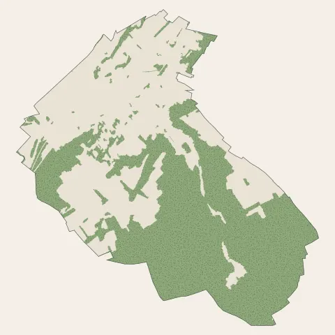 Zillisheim : bois, forêts et landes