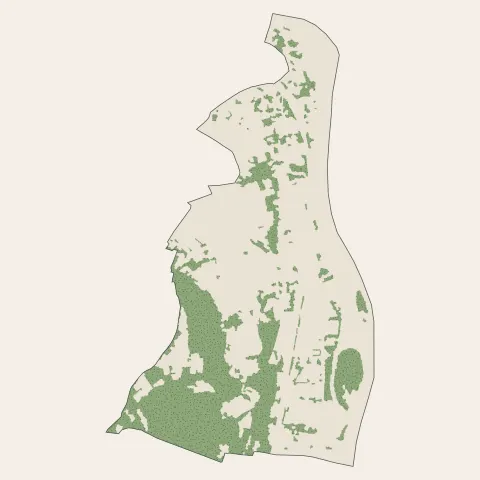 Albigny-sur-Saône : bois, forêts et landes