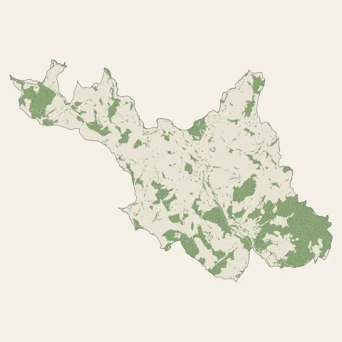 Amplepuis : bois, forêts et landes