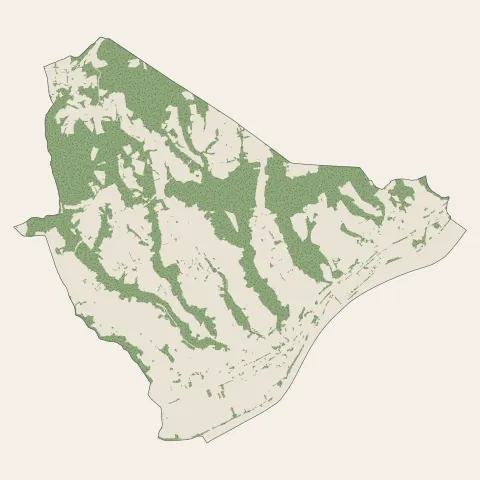 Ampuis : bois, forêts et landes