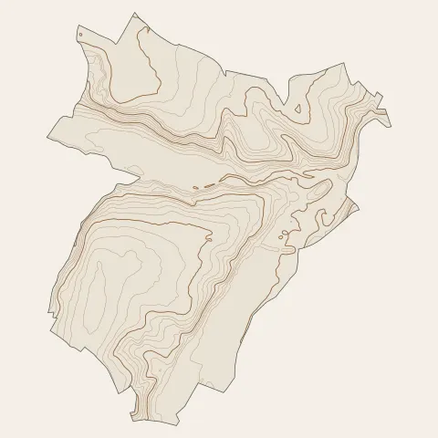 L'Arbresle : courbes de niveau