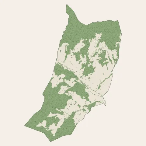 Beaujeu : bois, forêts et landes
