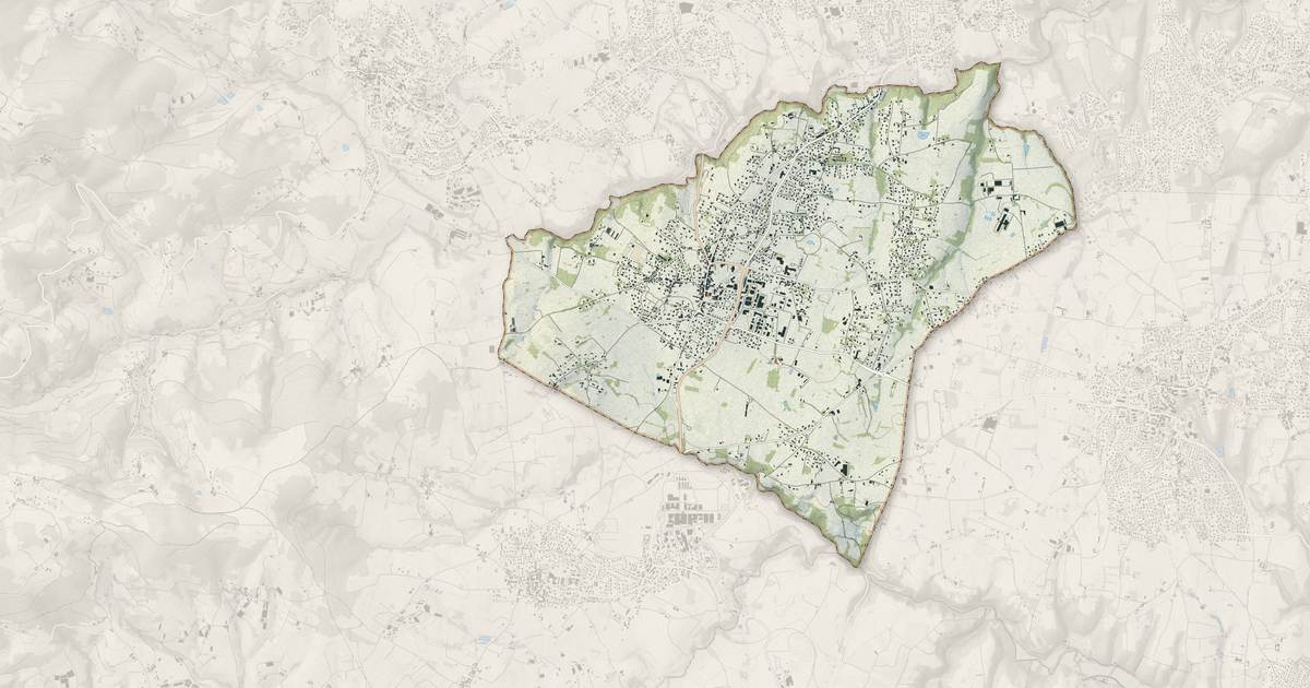 Portrait cartographique de Brindas : relief, eau, forêts, bâti et voies, calculés à partir des données de l'IGN