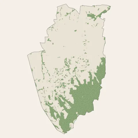 Chasselay : bois, forêts et landes