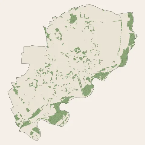 Chazay-d'Azergues : bois, forêts et landes