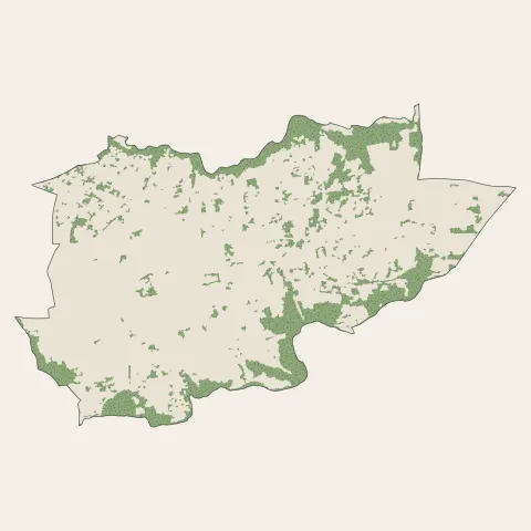 Craponne : bois, forêts et landes