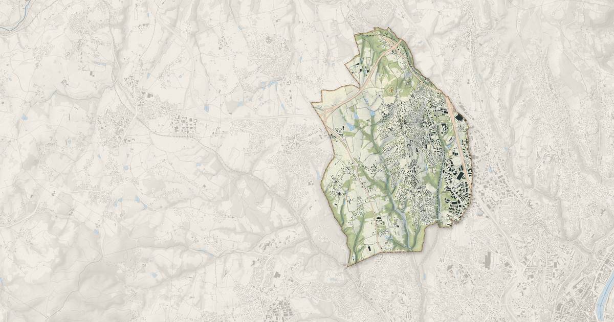 Portrait cartographique de Dardilly : relief, eau, forêts, bâti et voies, calculés à partir des données de l'IGN