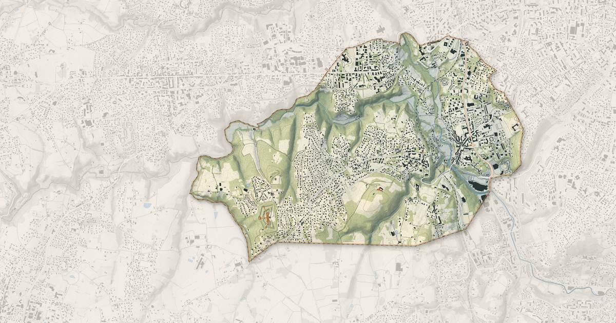 Portrait cartographique de Francheville : relief, eau, forêts, bâti et voies, calculés à partir des données de l'IGN