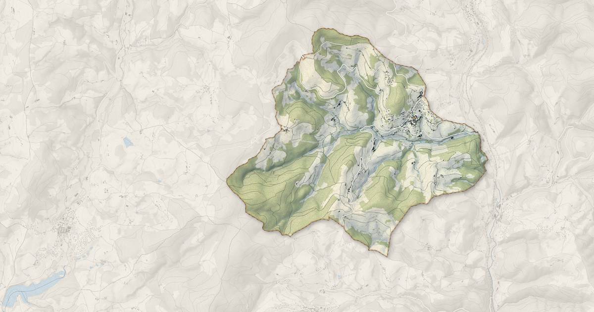 Portrait cartographique de Grandris : relief, eau, forêts, bâti et voies, calculés à partir des données de l'IGN