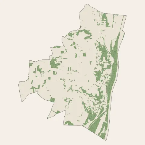 Irigny : bois, forêts et landes