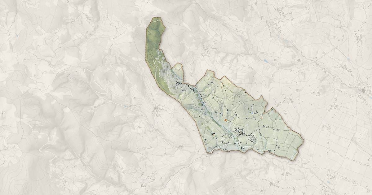 Portrait cartographique de Juliénas : relief, eau, forêts, bâti et voies, calculés à partir des données de l'IGN