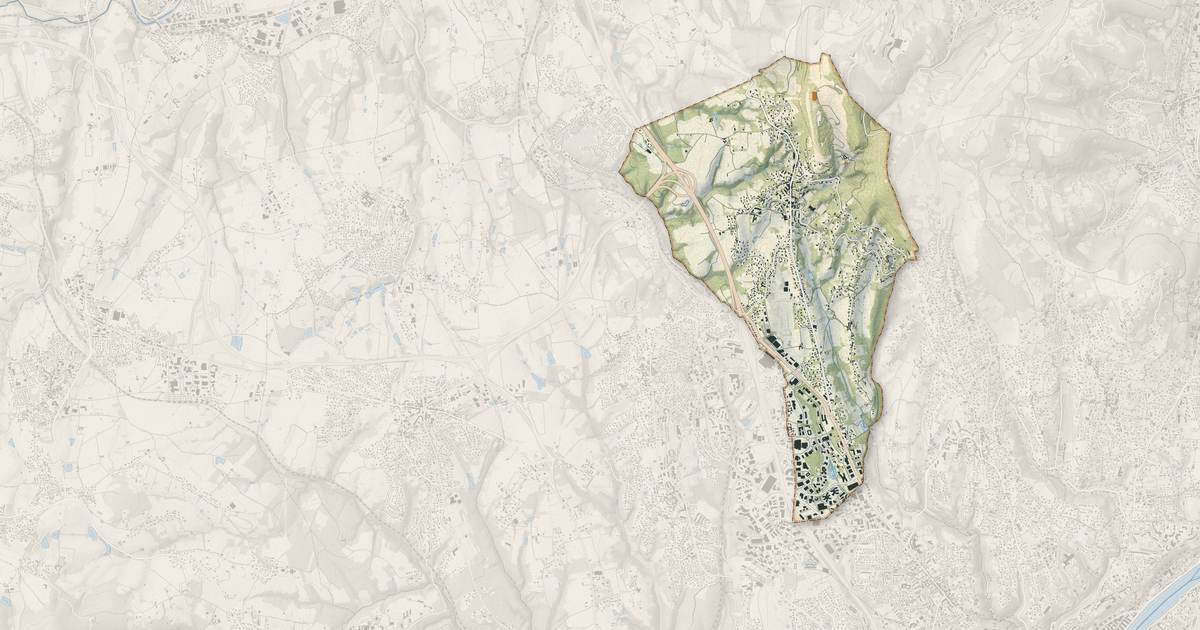 Portrait cartographique de Limonest : relief, eau, forêts, bâti et voies, calculés à partir des données de l'IGN