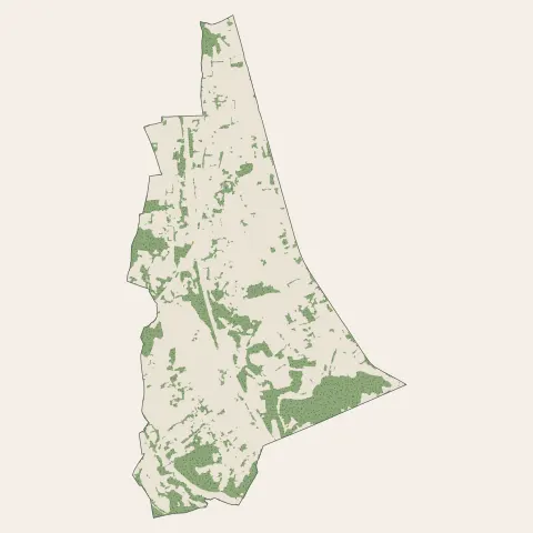 Lissieu : bois, forêts et landes