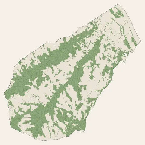 Loire-sur-Rhône : bois, forêts et landes