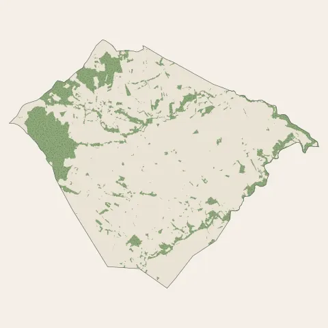 Messimy : bois, forêts et landes