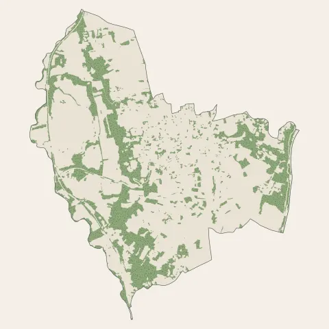 Millery : bois, forêts et landes