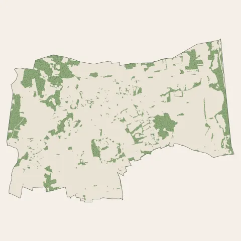 Morancé : bois, forêts et landes
