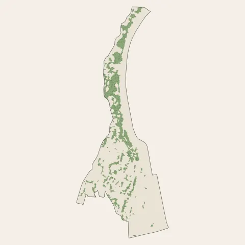 La Mulatière : bois, forêts et landes